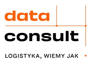 DataConsult Logo