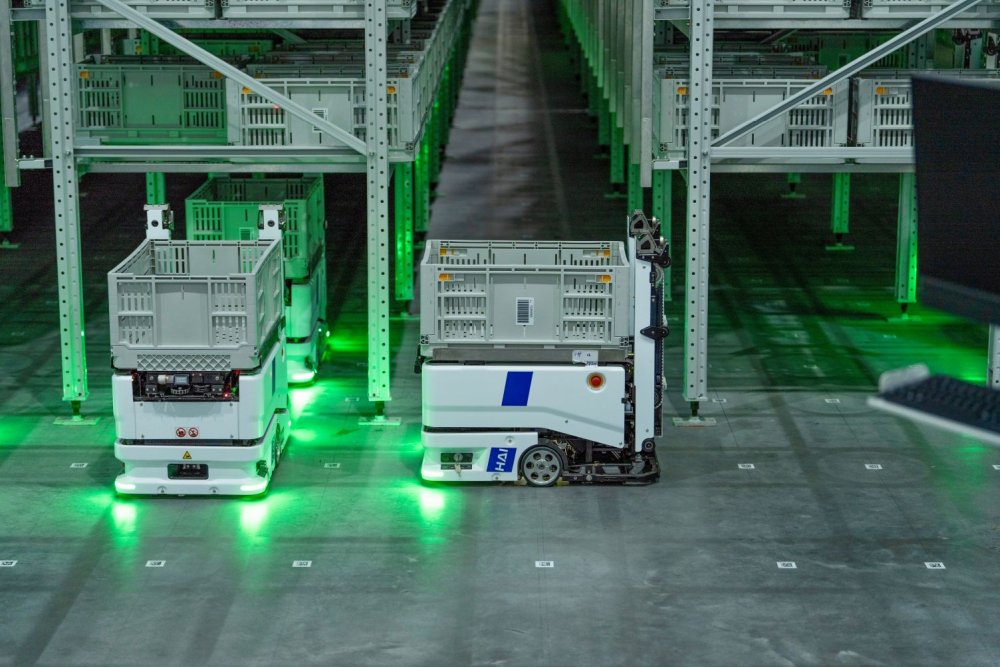 HaiPickClimb LPP Logistics