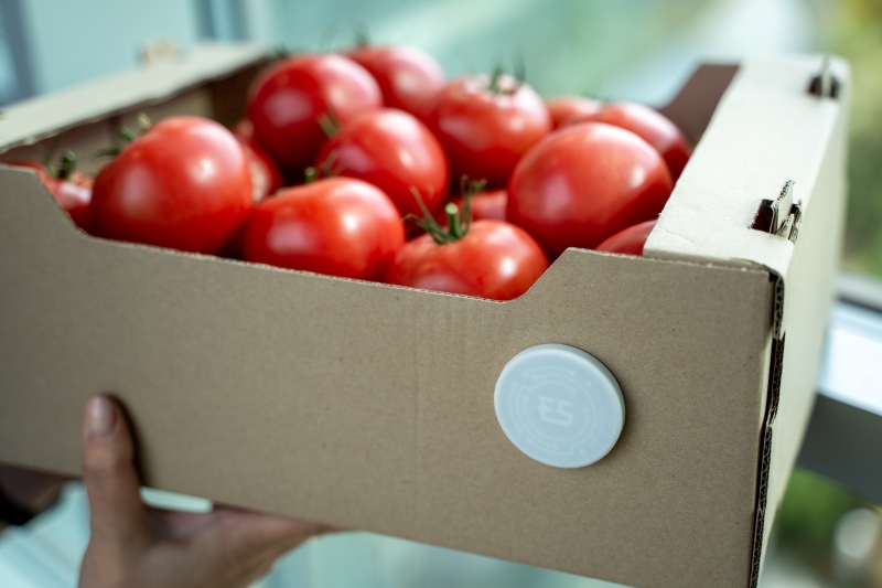 eslog tomato 5692800px07092025 1