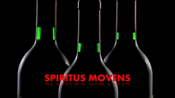 SPIRITUS MOVENS czyli jak zminimalizować ryzyko kaca przy imporcie alkoholu